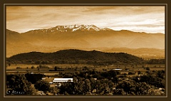 O - Contigliano